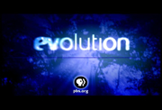 NOVA Evolution Screenshot